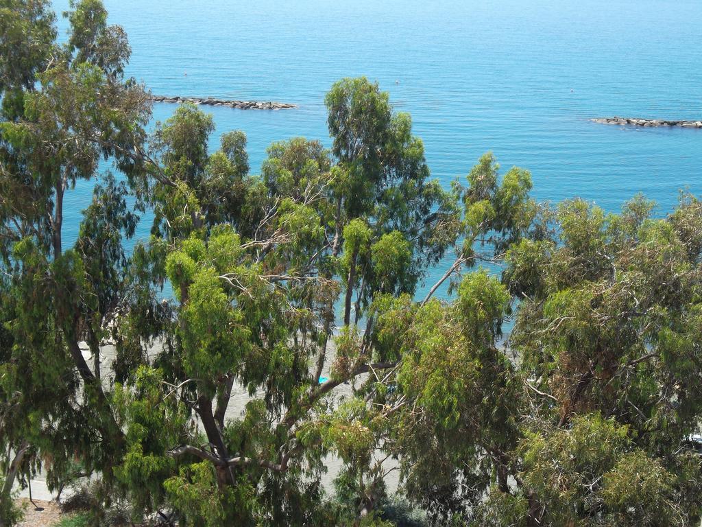 شقة Myria Court ليماسول المظهر الخارجي الصورة